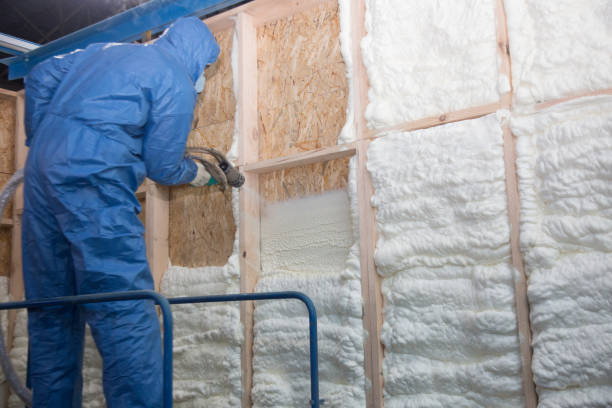 Best Thermal Imaging for Insulation Gaps  in Pamplico, SC